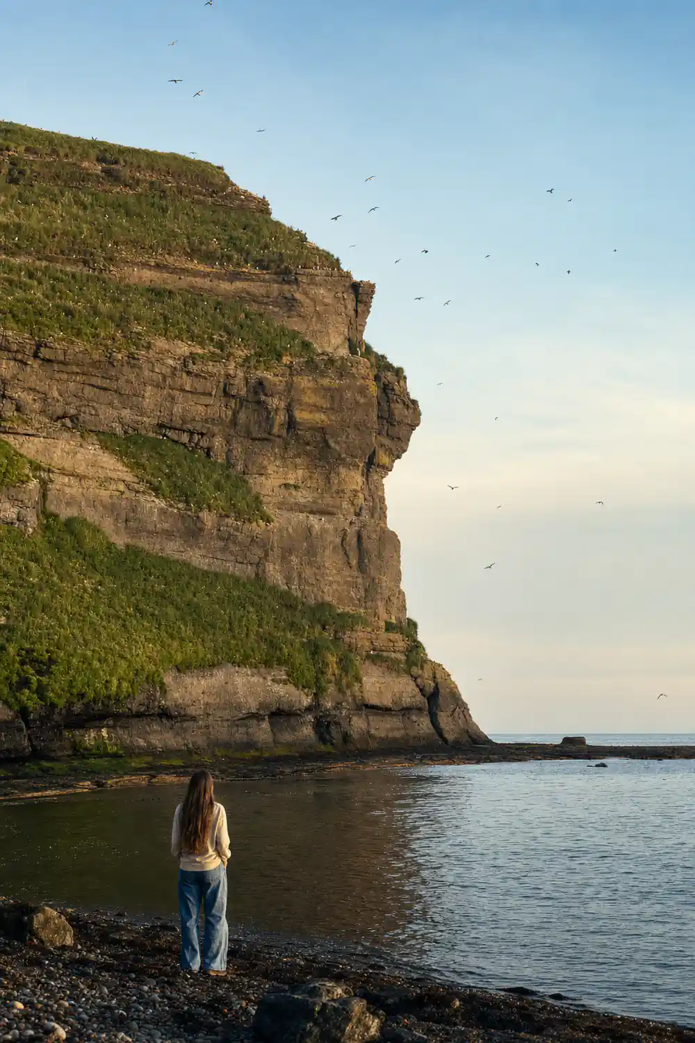 Layered rock cliff with green vegetation and flying birds