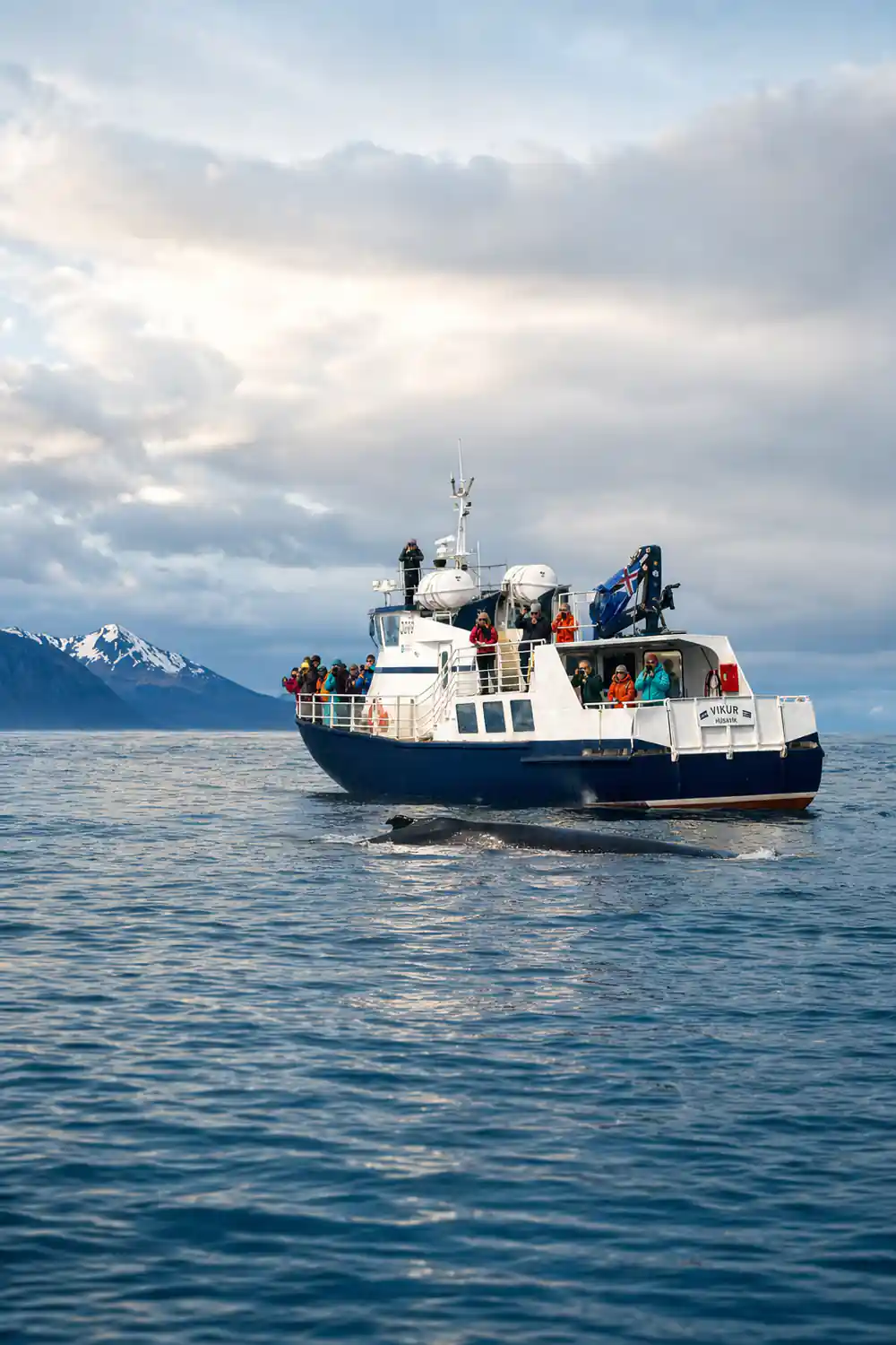 Small passenger ferry boat on calm sea with snowy mountains