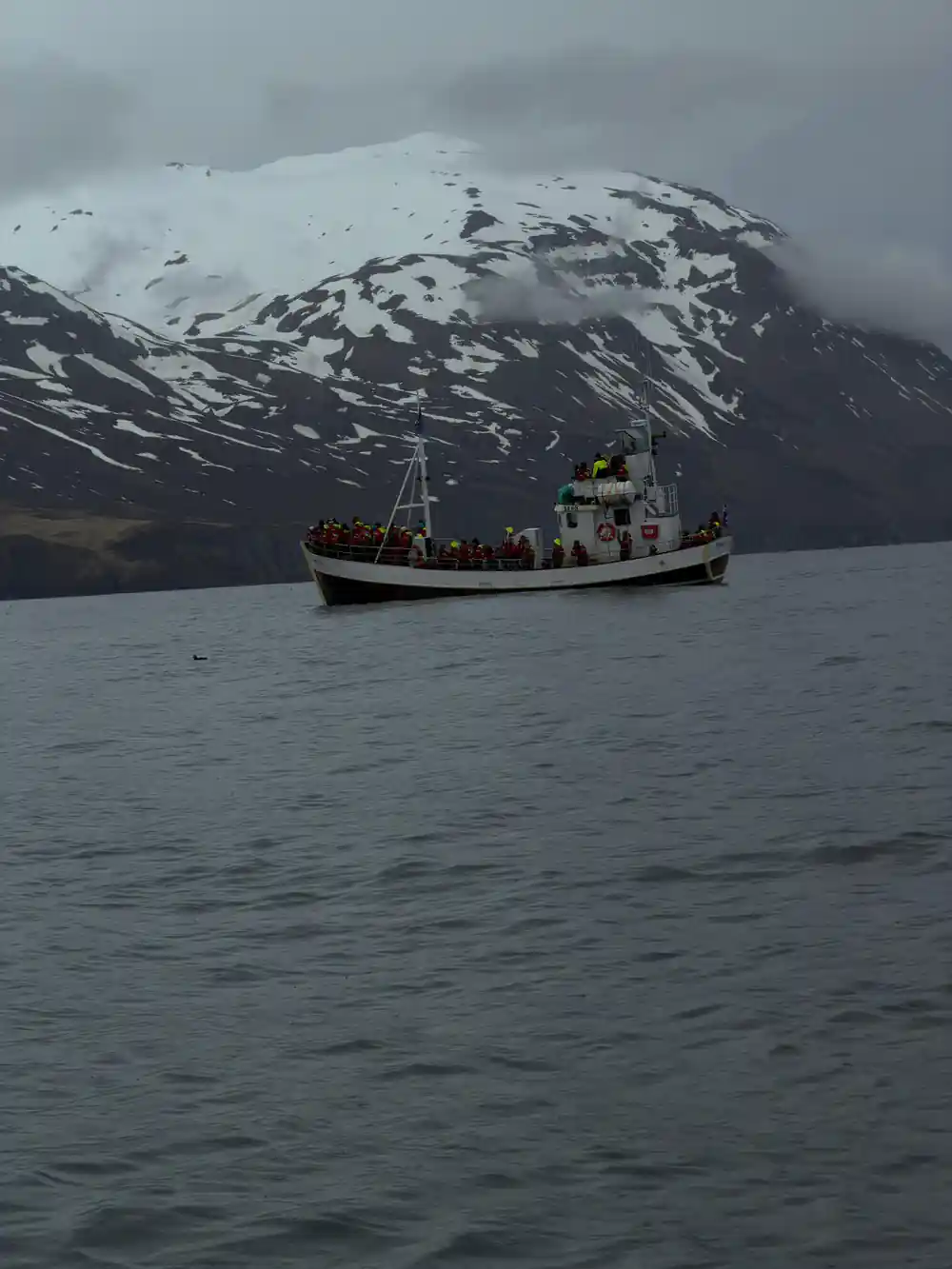 Tourist boat on water with snow-covered mountain backdrop
