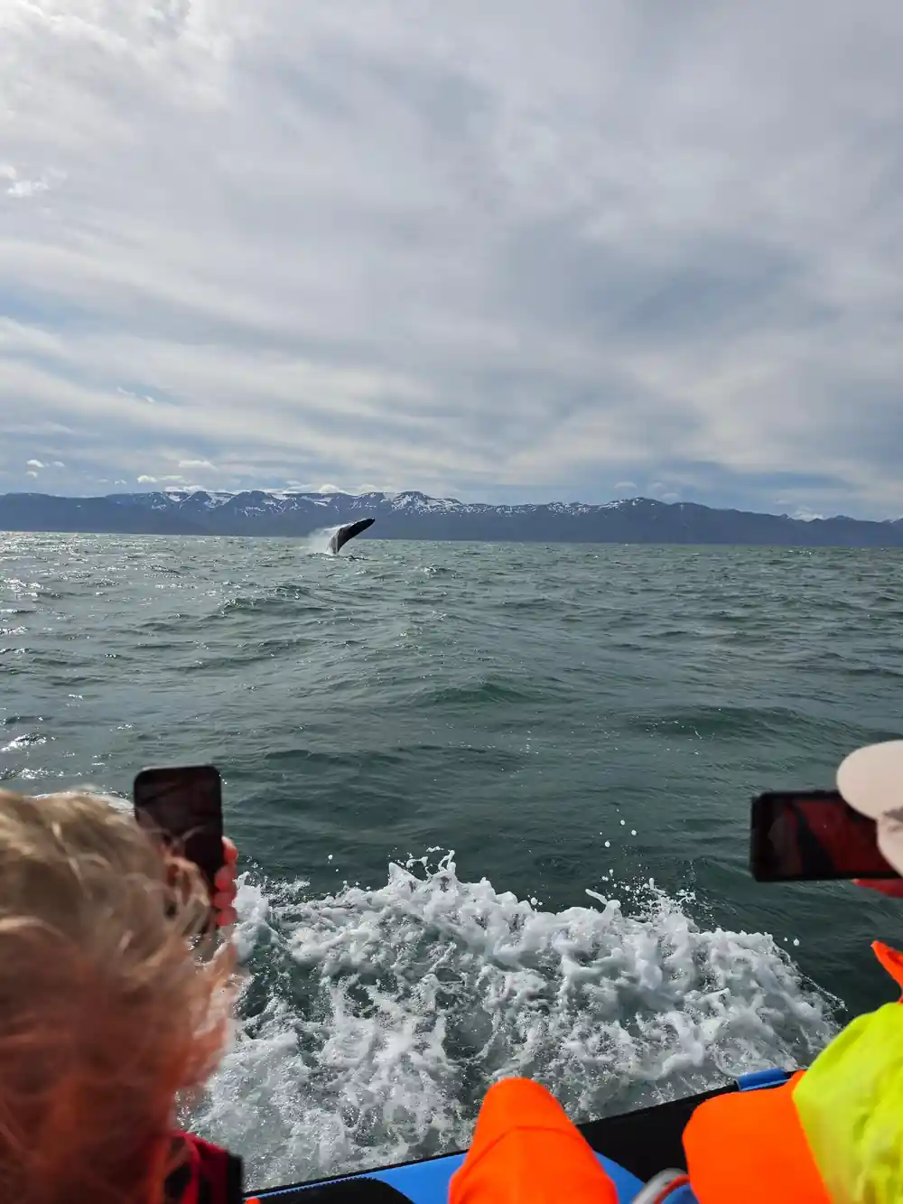 Whale breaching with snowy mountains in background